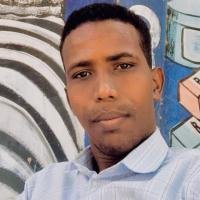 Ali