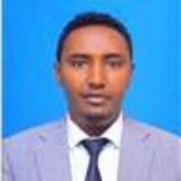 Abebe Fekadie Wondie